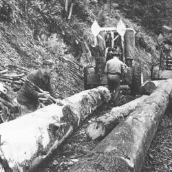 Exploitation en r&eacute;gie en Alsace (1972) / &copy; DR