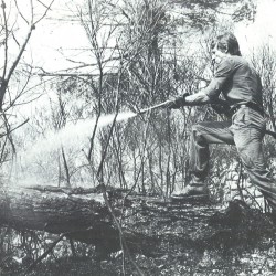 Forestier sapeur en action (1978) / &copy; DR