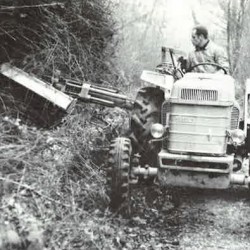 D&eacute;monstration de travail m&eacute;canique en for&ecirc;t de Choeurs, &agrave; proximit&eacute; de Bourges (1967) / &copy; DR