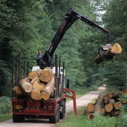 Chargement de grumes (2004) / &copy; Alain Blumet / ONF