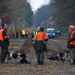 Fin de journ&eacute;e de chasse (battue administrative) en for&ecirc;t domaniale de Saint-Germain-en-Laye (2010). Chasseurs et rabatteurs se r&eacute;unissent / &copy; Mihaela Trifa / ONF