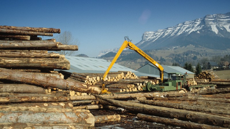 Un rapport pour la fili&egrave;re bois